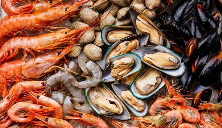 Southern Seafood and Coastal Vibes Coming to Jacksonville Beach
